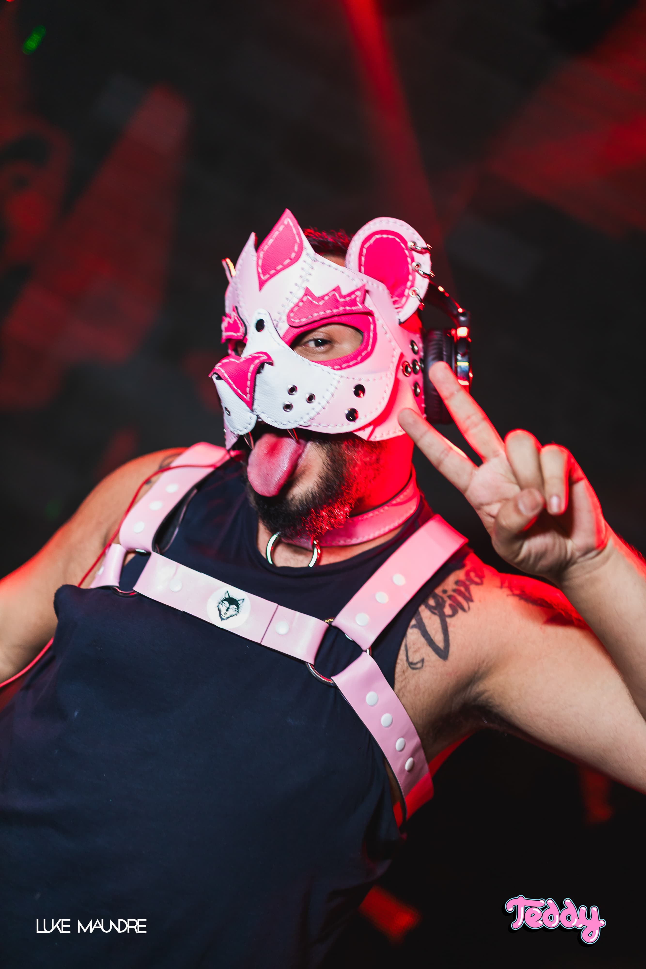 Foto da festa Teddy Club