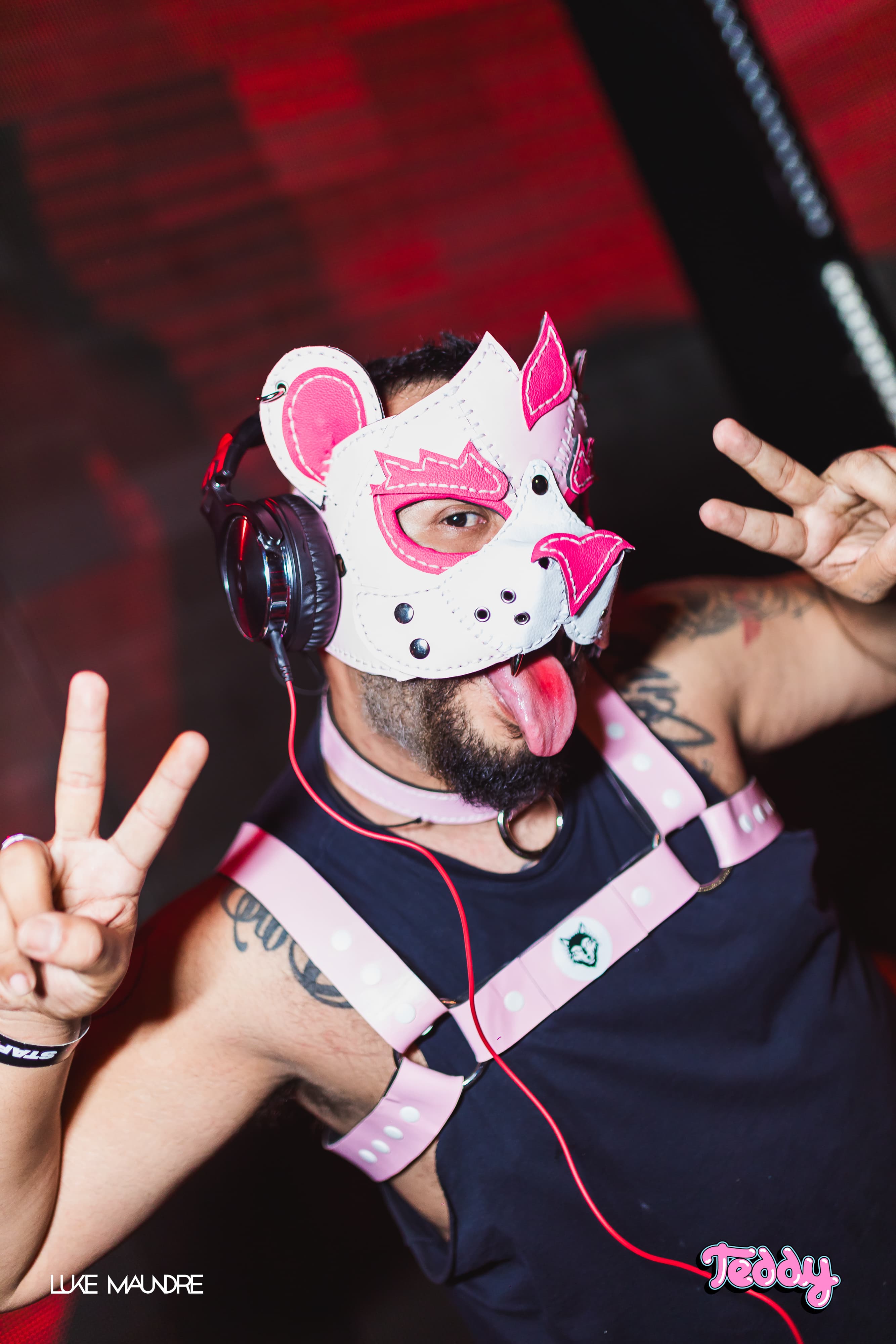 Foto da festa Teddy Club