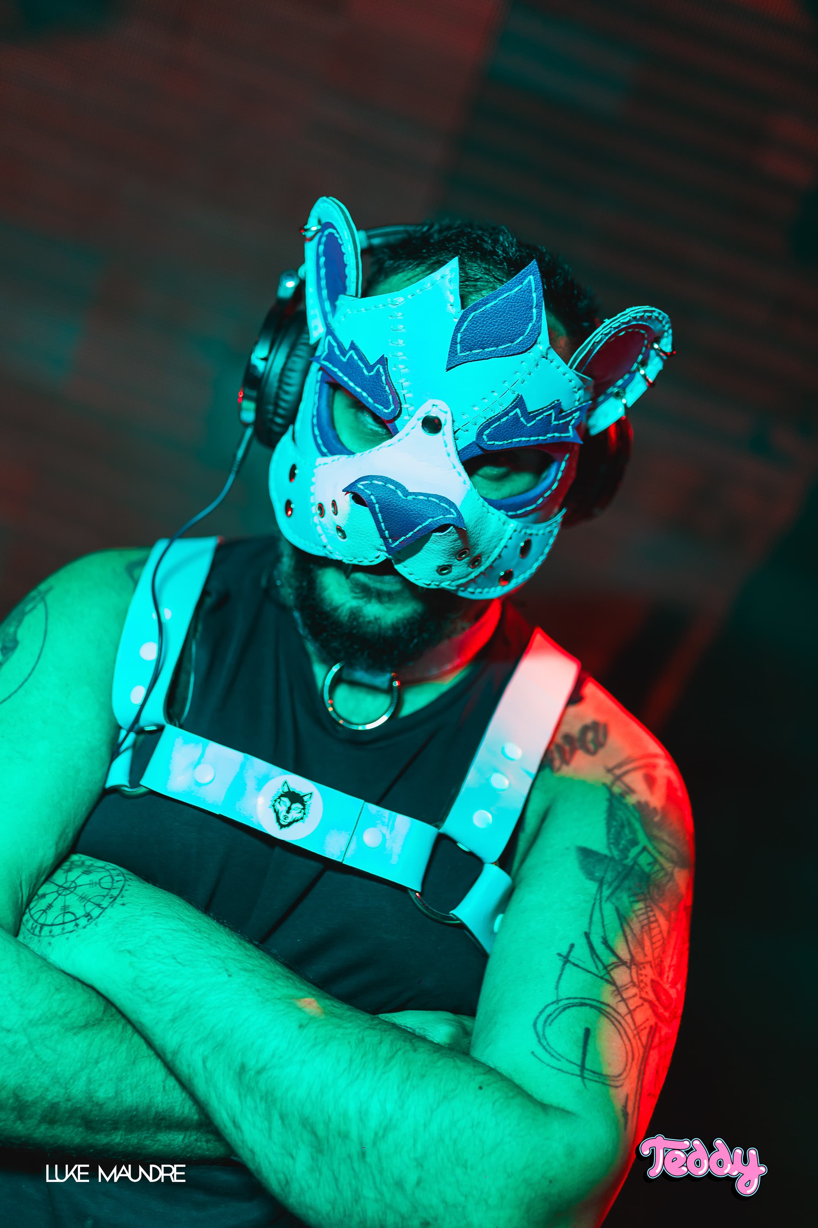 Foto da festa Teddy Club